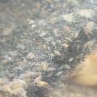 Bild 3 von 5