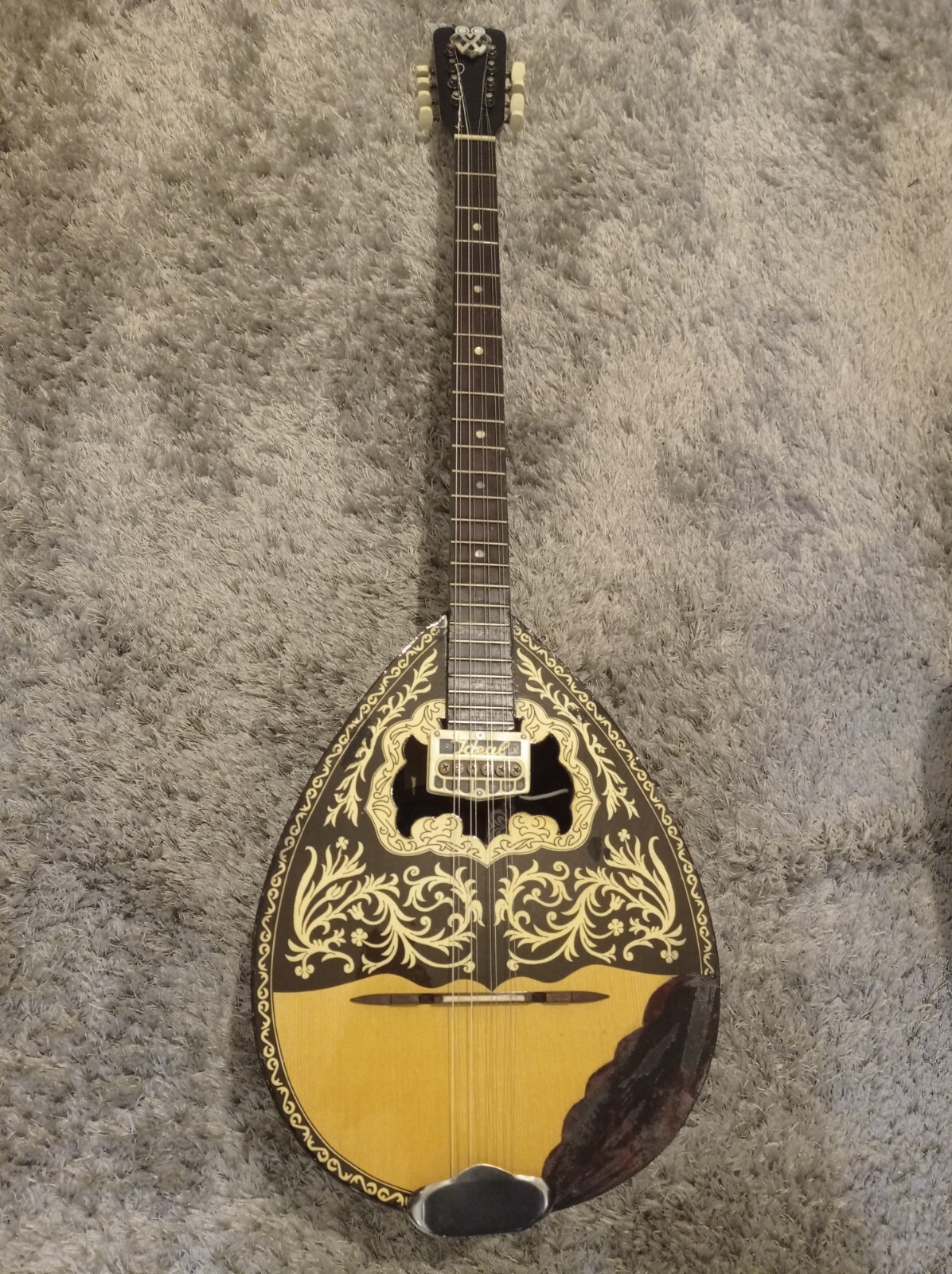 Greek Electric Bouzouki & HARDCASE & Pickup & 300 Backing track eBay