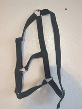 Blue Nylon Pony Halter