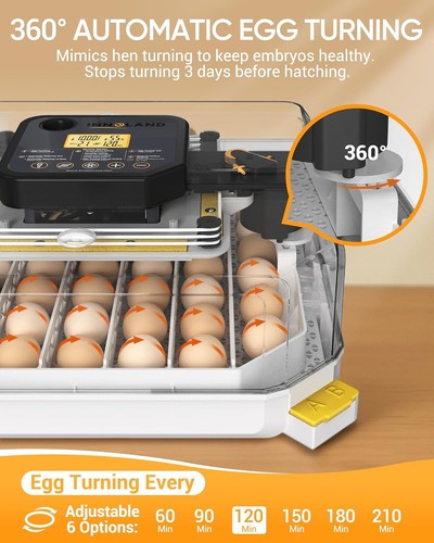 48 Eier Inkubator, automatische Drehung, Temperatur Feuchtigkeit Kontrolle, Kerze, Huhn/Ente/Wachtel - Bild 6 von 8