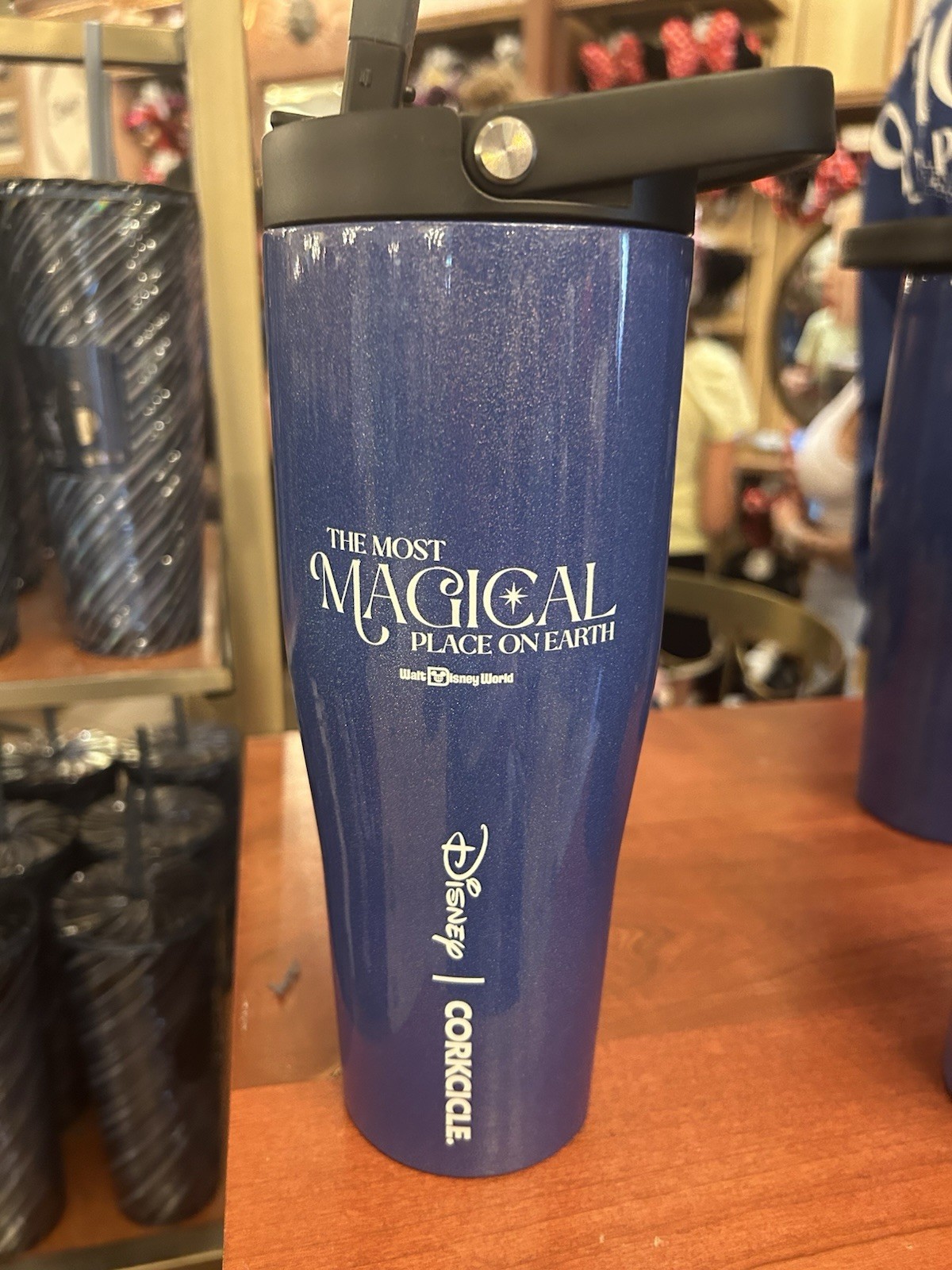 NEW DISNEY X CORKCICLE  30 OZ TUMBLER WATER BOTTLE STAINLESS SORCERER MICKEY