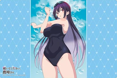 Bushiroad Rubber Mat Collection V2 Vol 1736 Please Wear It Takamine Card Game Pl