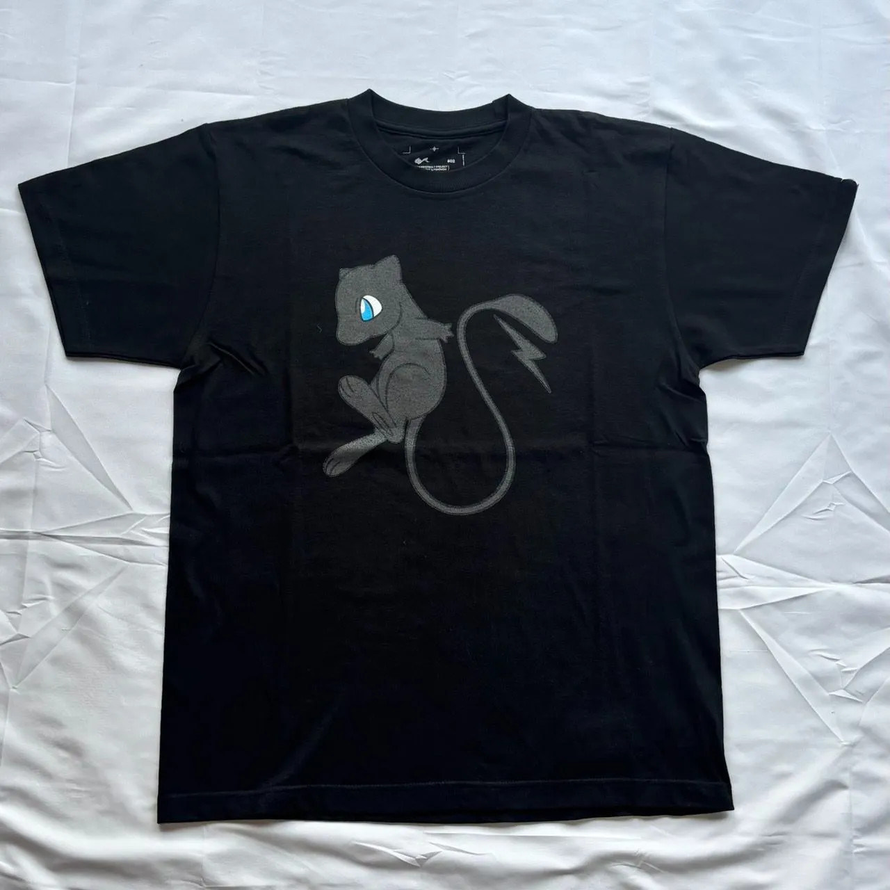 THUNDERBOLT PROJECT フラグメント ポケモン イーブイ黒 ポケモン