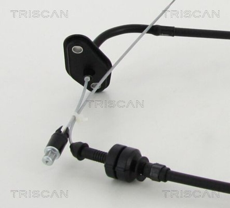 Imagen 2 de 3