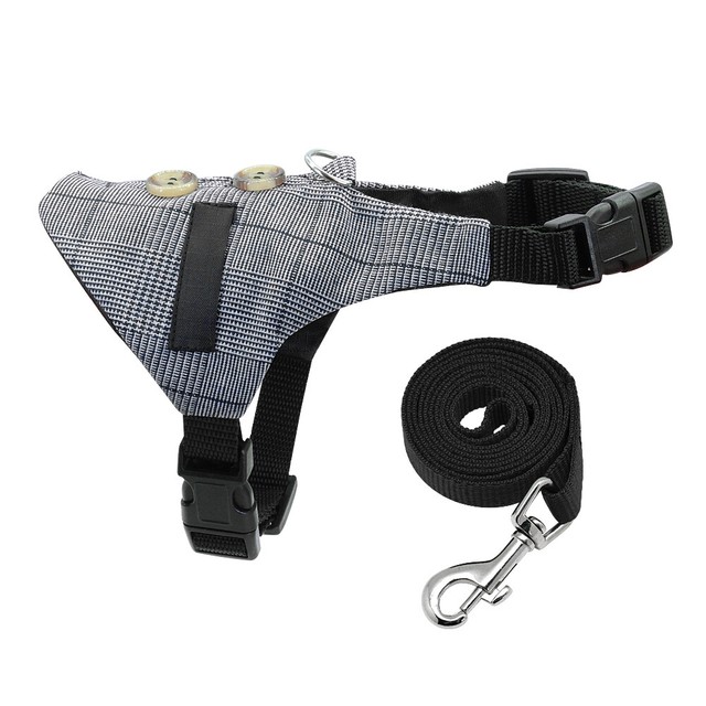 Small Animal Harness & Leash Rabbit Squirrel Rat Cat Small Dog Vest