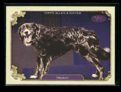 2024 Topps Allen & Ginter #SOS-4 Truant - Westminster Kennel Club