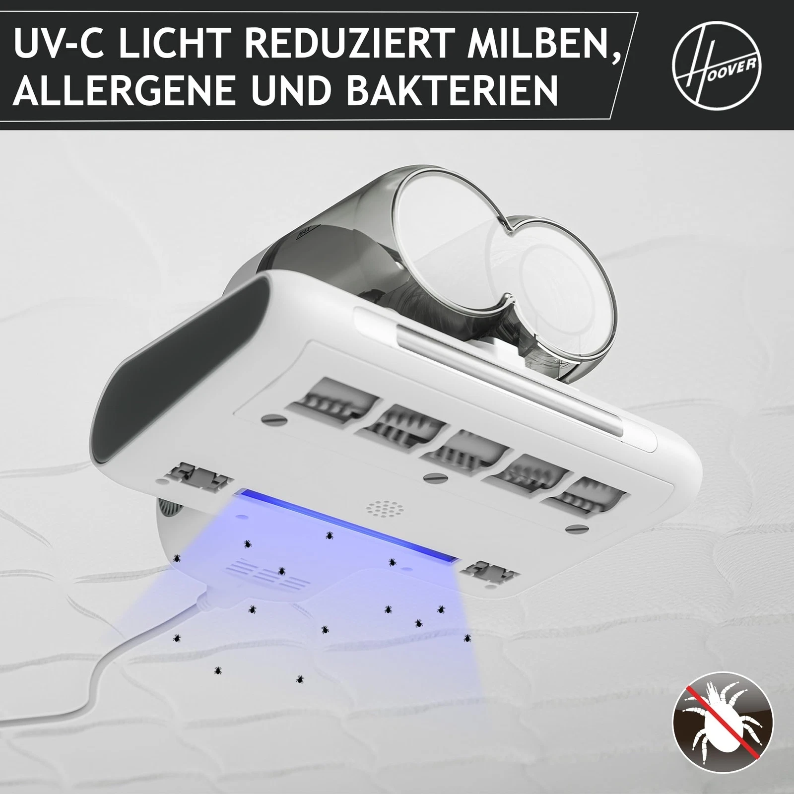 Bild 3 von 8