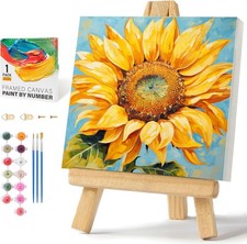 Framed Paint by Numbers Kit for Adults Beginners  10 x 10 Inch, BOP1PF02