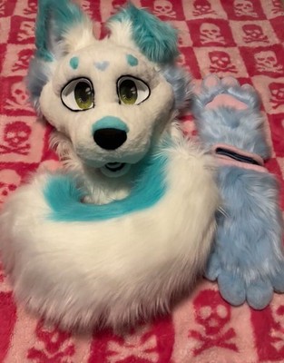 Fursuit Partial Head, Tail, Paws, and Art