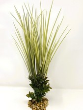 16 in. Olive Green Spike Weed  Brown Boxwood Combo Mix 844D, Stone base