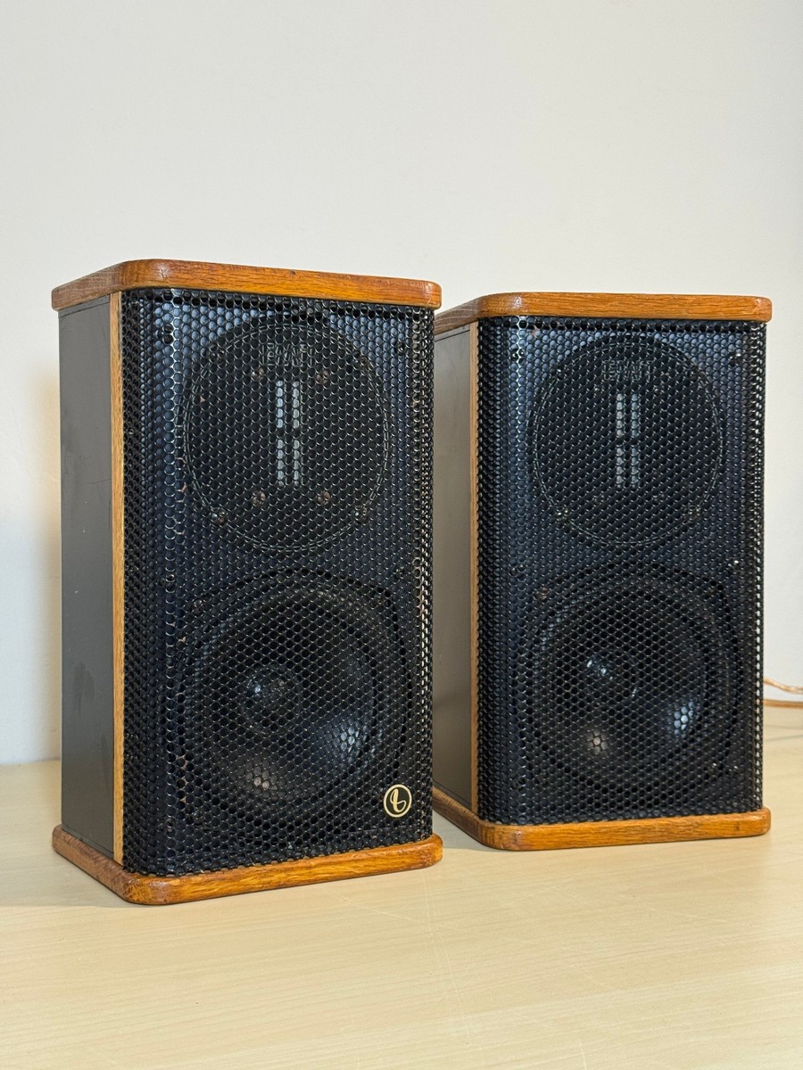 Infinity Infinitesimal (.1) Speakers (Pair) - EMIT tweeters