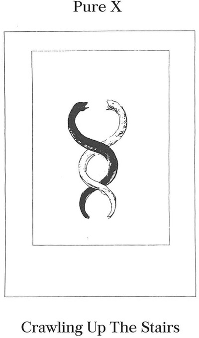 Pure X Crawling Up the Stairs (Vinyl LP) 12" Album