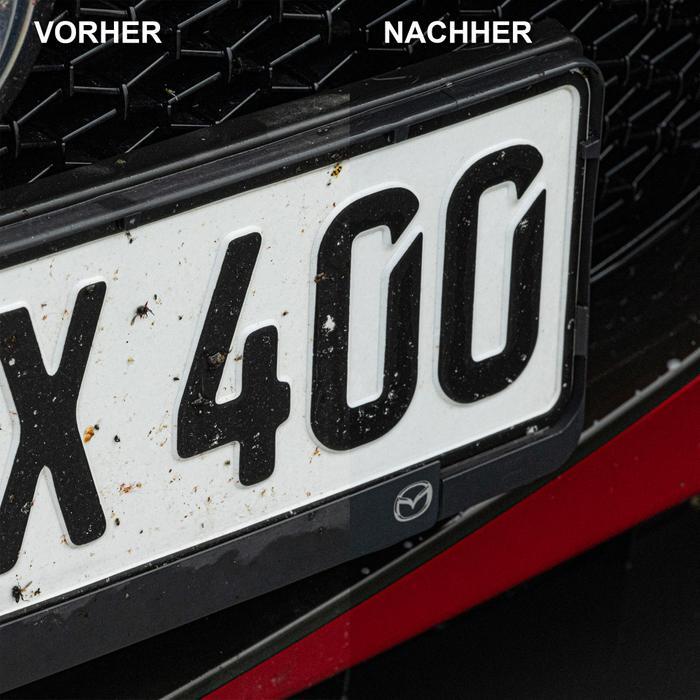 Bild 6 von 12