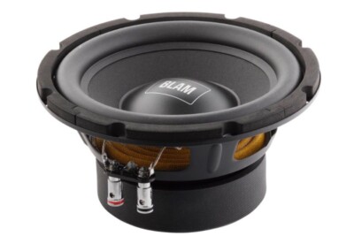 BLAM R8EL 210 mm (8 Zoll) Subwoofer (max. Leistung. 300W)