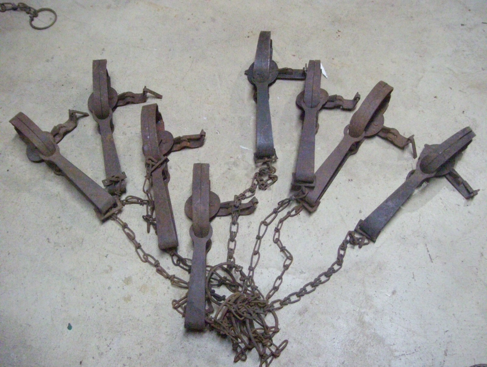 17used oneida victor 1 1/2 & 1 long spring animal traps eBay