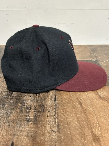Cappello da baseball vintage Wisconsin Timber Rattlers SnapBack nuova era modello professionale berretto US - Foto 10 di 17