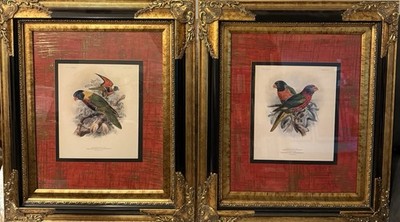 Ornithology-style illustrations by R. H. Porter, Set Of 2, Ornate Frames, 23x28 