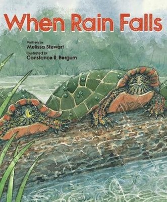 Melissa Stewart When Rain Falls (Paperback)