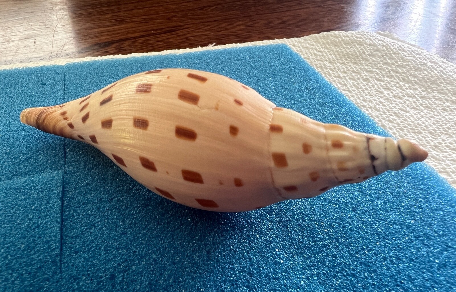 Picture 15 of 15