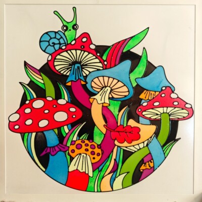 Hand Made Light Box Art. Mushroom Snail Light Box. Enchanted Snail LED Light Box