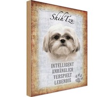 Holzschild 18X12 Cm Shih Tzu Hund Tier Haustier Deko Geschenk Holz Schild