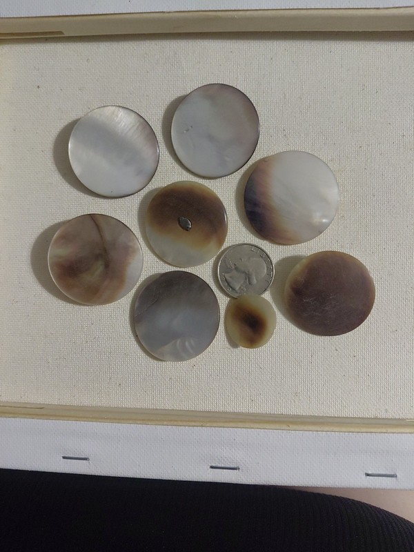 Lot of 8 Vintage Carved Mother of Pearl Shank Buttons, up to 1.5" Silvery Purple
