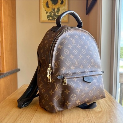 Louis Vuitton Palm Springs MM Backpack 