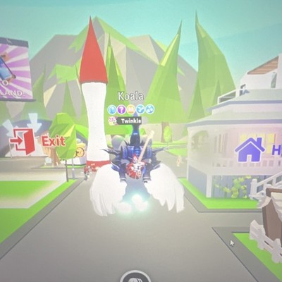 Adopt Me! Neon Fly Ride Twinkle Koala Virtual Pet In-Game Item