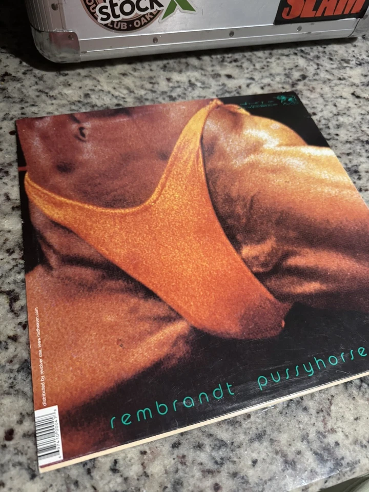 Butthole Surfers – Rembrandt Pussyhorse 12" LP Vinyl Record 2013 Pres VG+ - Image 2 of 4