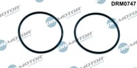 Dr. Motor Automotiv DRM0747 Dichtung, Vakuumpumpe FüR Audi, Seat, Skoda, VW