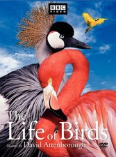 【中古】「非常に良い」Nature: Extraordinary Birds [DVD] [Import] The Extraordinary World of Birds (The Magic and Mystery of the