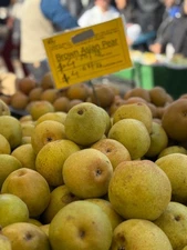 Digital Image Photo Wallpaper Background Desktop Art Asian Pear! Only $0.99 Cent