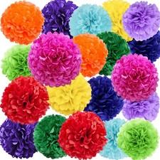 20 PCS Colorful Mexican Tissue Paper Flowers Pom Poms Wall Ceiling Hanging