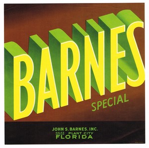 Original 1930s Rare 9x9 Vintage Florida Crate Label Barnes Special