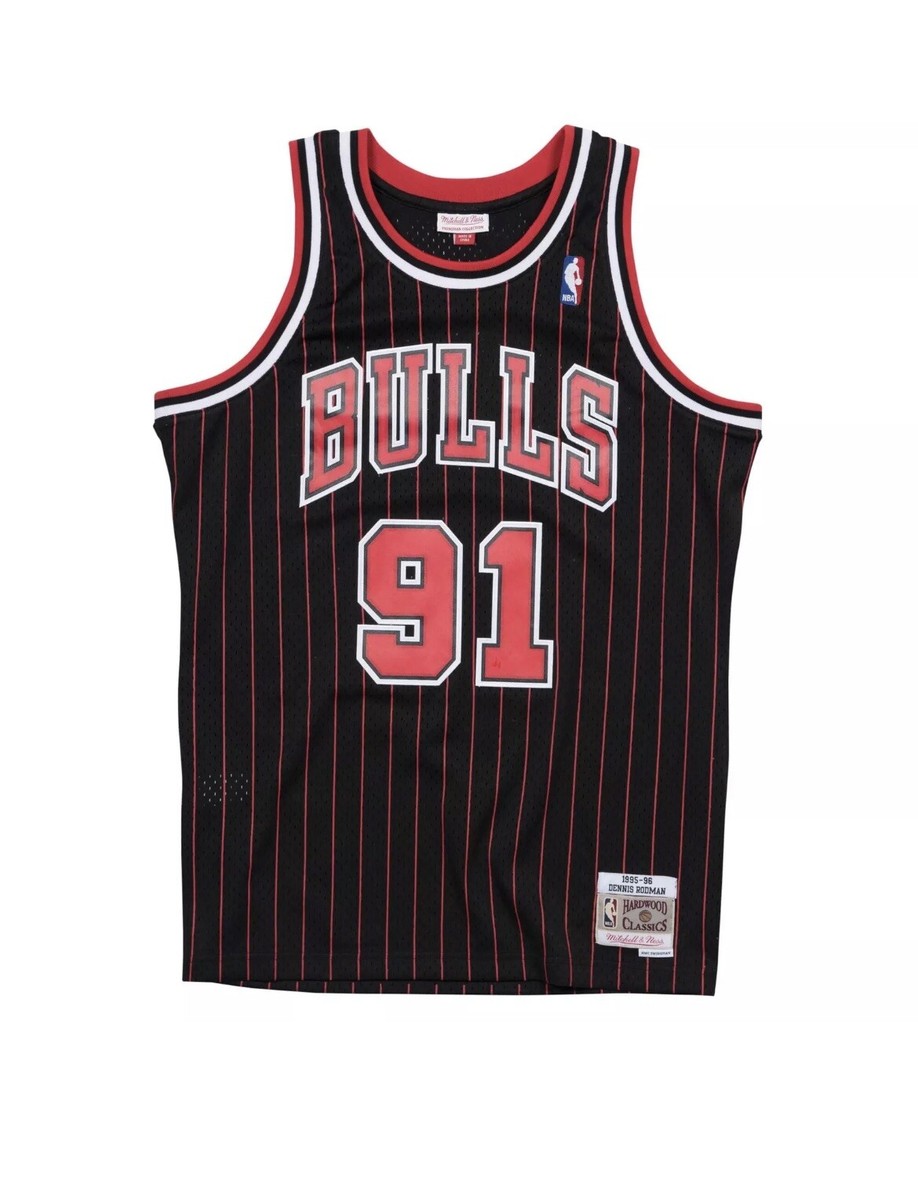 ★Mitchell &ness Bulls ロッドマンRODMAN Lサイズ Dennis Rodman 95-96 Chicago Bulls Alternate Mitchell & Ness