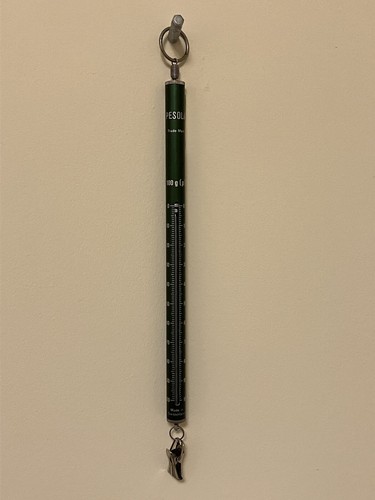 Pesola Spring Scale Pocket Precision 100g - Picture 2 of 6