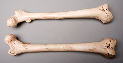 Halloween Horror Aged Femur Bones, Life-Size Human Skeleton, Left & Right, NEW