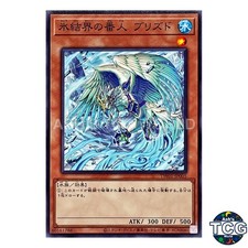 Blizzed, Defender of the Ice Barrier N TW01-JP005 TERMINAL WORLD Yu-Gi-Oh! JP