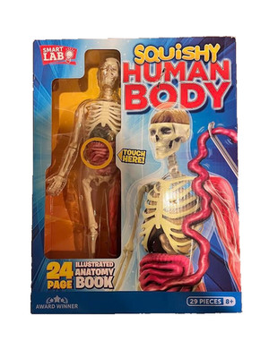 SmartLab Squishy Human Body - SL06428