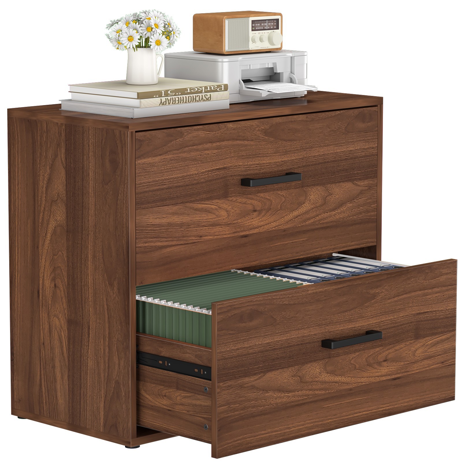 2 Drawer File Cabinets, Wood Lateral Filing Cabinet for Home Office for Letter