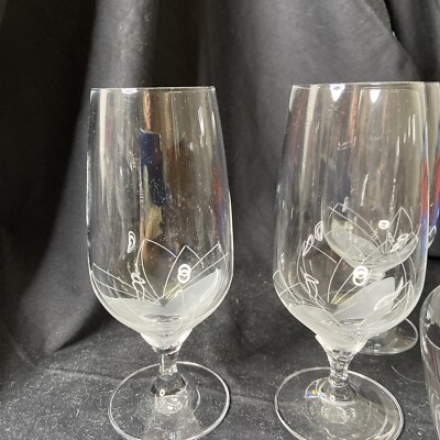 Schott Cristal Zwiesel Wassergläser Serie Pasadople in OVP 