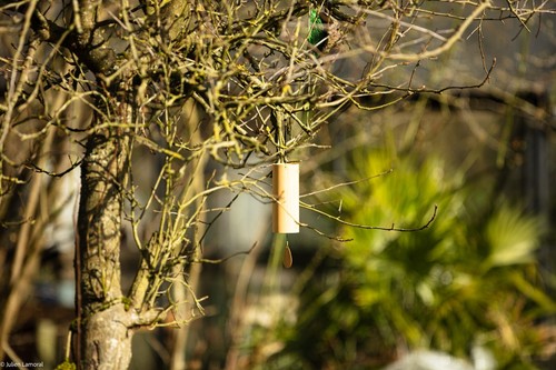 Canon EF L 300mm f2.8 IS USM prime tele lens - Photo 8/12