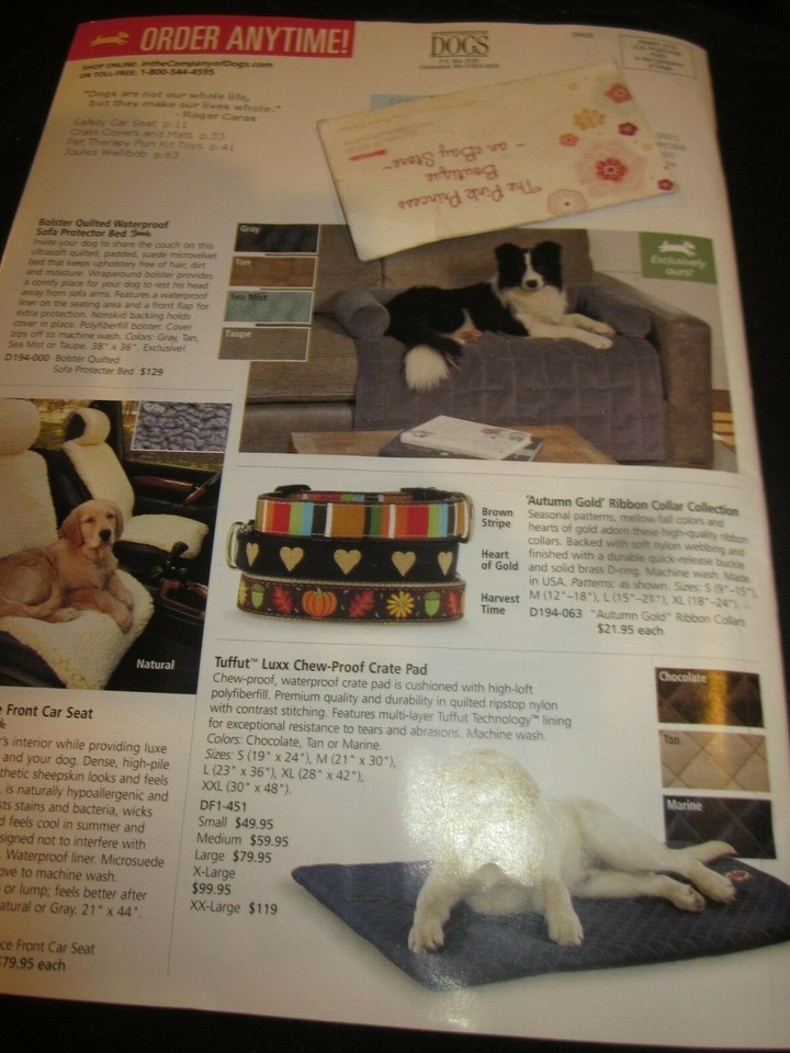 In The Company of Dogs Catalog Early Fall 2019 Patches American Pit