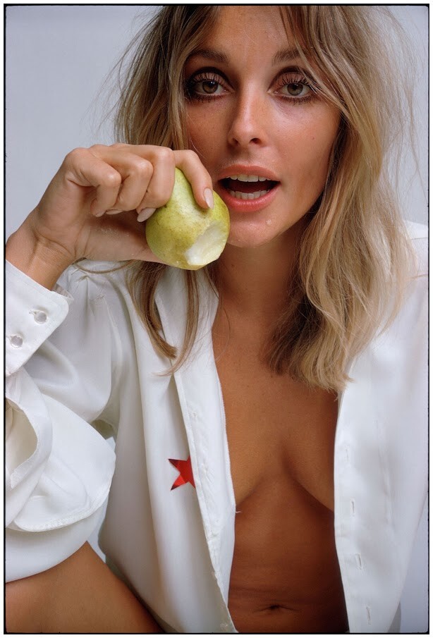 Sharon Blond  Celebrity Sexy Model Babe  8.5x11 Print Photo 4118688--