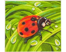 "Ladybug" Printed Cross stitch Needlepoint Canvas 1383
