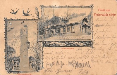 14961) greeting from card Freienwalde or used 1910