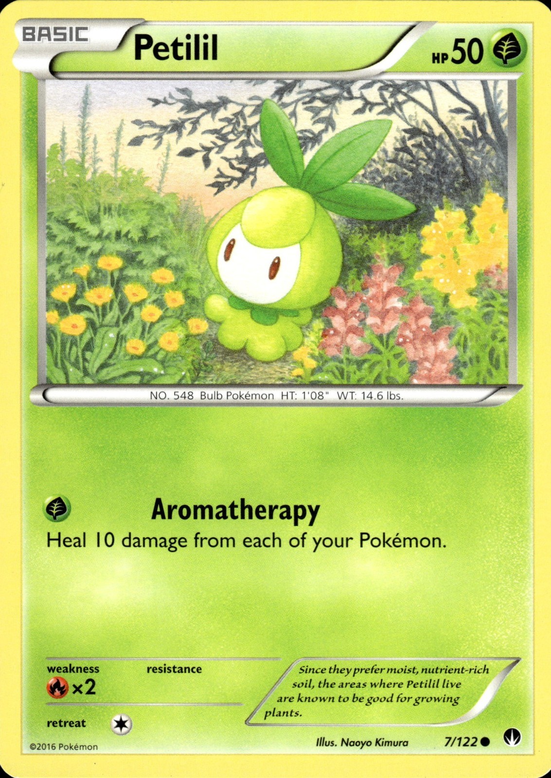 Petilil 7/122 | XY - BREAKpoint | Pokemon TCG | English | Common