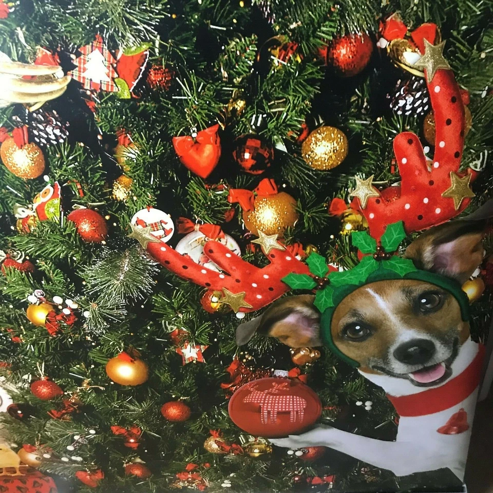 Fondo de Navidad para fotos, ventanas, puertas utilería fotográfica autónoma Foto 2 de 4