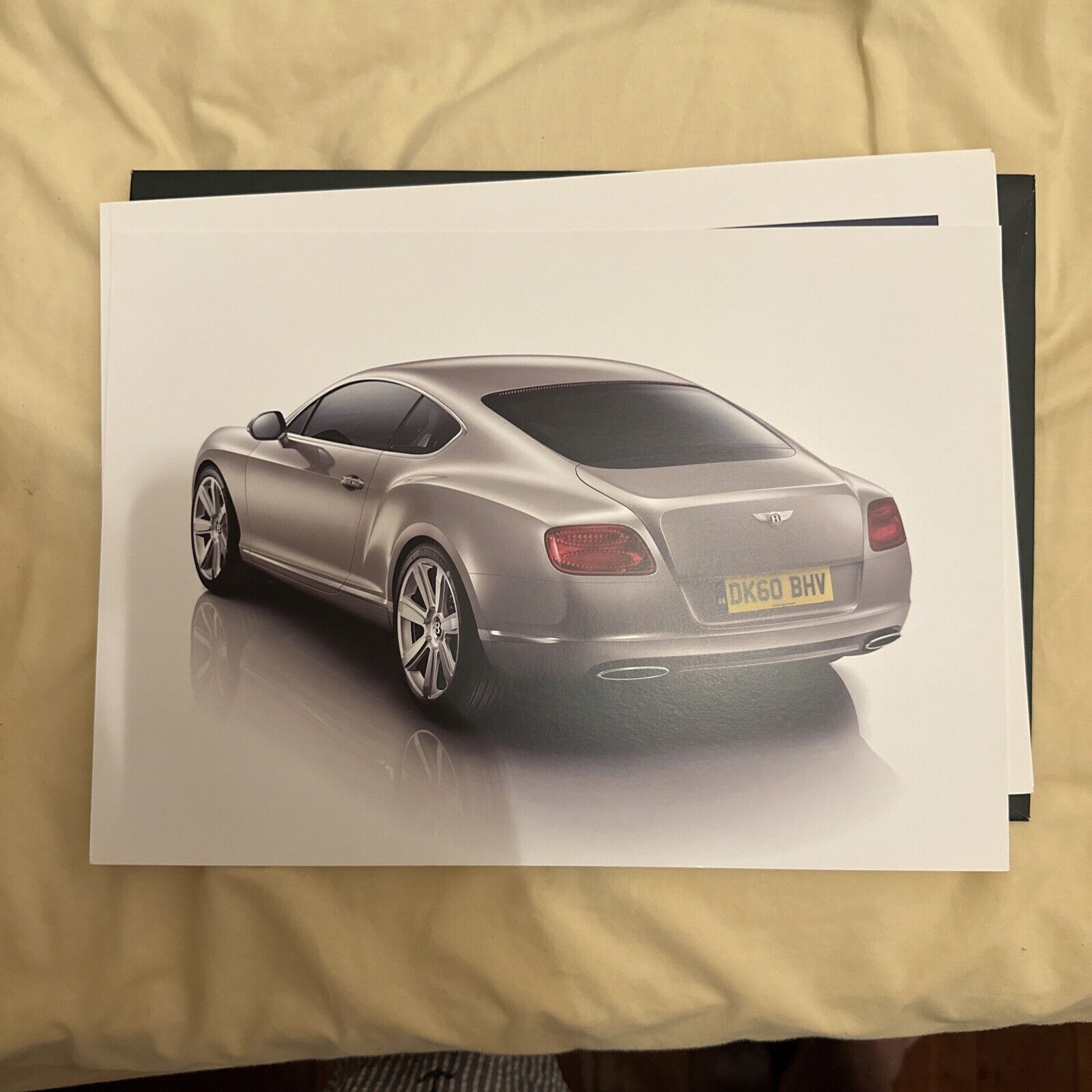 Picture 4 of 12