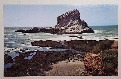 Seal Rock at Piedras Blancas near Lighthouse at San Simeon, California ...